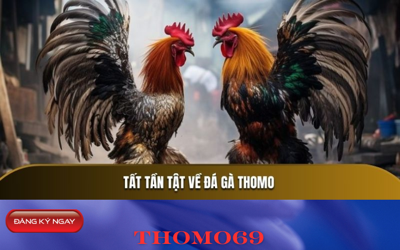 Quy trình đăng ký nhà cái Thomo69 – Hướng dẫn chi tiết từng bước