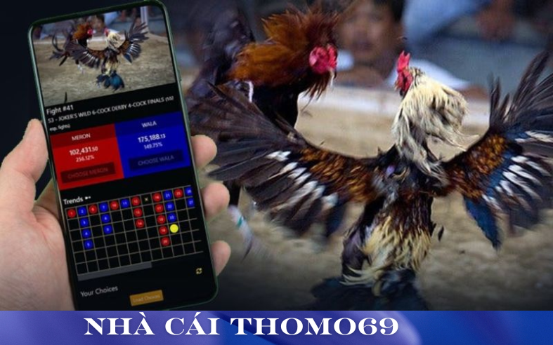 Các Sản Phẩm Và Dịch Vụ Nổi Bật Tại Thomo69