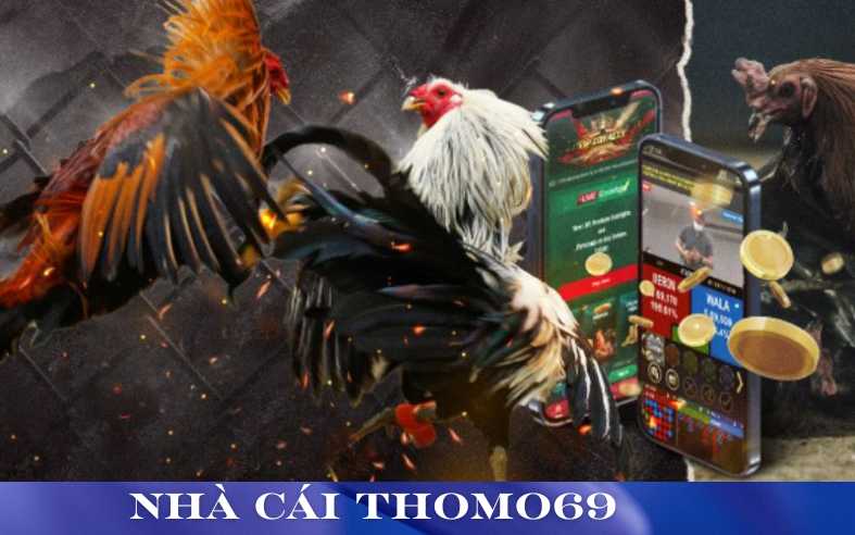 Quy Trình Tham Gia Và Cách Đăng Ký Tại Thomo69